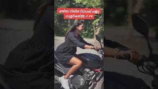 ආ පැටියෝකොහොමද 😩💗 HondaHornet Sri lanka trending viralvideo shortsfeed shorts highlights [upl. by Fauver]