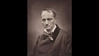 THE FLOWERS OF EVIL by Charles Baudelaire  REVIEW [upl. by Slen]