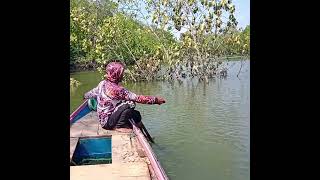 Ikan penghuni pohon longsor ini [upl. by Conners]