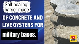 Selfhealing barrier made of concrete and live oysters for military bases [upl. by Meakem]