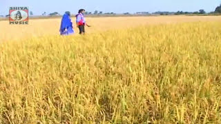 Jhumur Gaan  Devar Jadi Bhalo Base  Parbati Devi  Superhit  Jhumur Bangla Gaan [upl. by Nesto427]