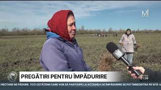 Forfotă mare la pepinierele cu material săditor [upl. by Yecnuahc532]