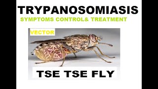 trypanosomiasis diseases SYMPTOMS amp CONTROL [upl. by Jammie309]