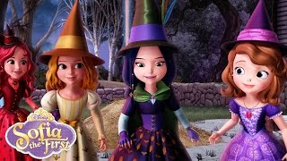 The Broomstick Dance  Music Video  Sofia the First  disneyjr [upl. by Arihs839]