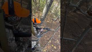 Muzzleloader season in North Carolina Waiting on a big onecantaim hunting viral [upl. by Brebner]