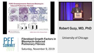 Fibroblast Growth Factors in Bleomycininduced Pulmonary Fibrosis  Robert Guzy MD [upl. by Loralyn]