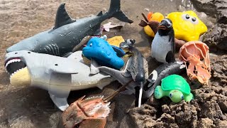 Fun Sea Animals Toys at the River [upl. by Elocim]