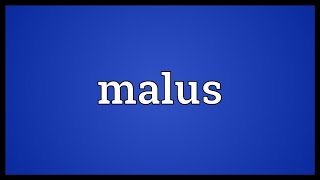 Malus Meaning [upl. by Nnairek]