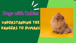 Dogs with Rabies  Understanding the Dangers to Humans [upl. by Lleon]