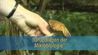 Grundlagen der Mikrobiologie [upl. by Nylime110]