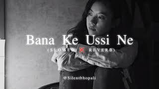 Bana Ke Usi Ne Ujada Mera Aashiyana  New Songs  New Version  Slowed Reverb  Full Lofi Songs 2024 [upl. by Parik]