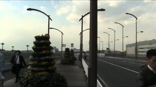 Narita Airport 2011 Earthquake 1 [upl. by Box]