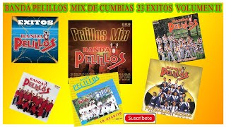 MIX DE CUMBIAS BANDA PELILLOS 23 EXITOS VOL 02 [upl. by Liban44]