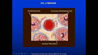 UT6  3 Fisiopatología de la Insuficiencia Cardíaca Prof R H Iermoli [upl. by Hartwell]