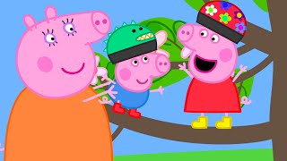 Peppa sobe em uma árvore  Peppa Pig Portuguese Brazil Episódios completos [upl. by Alleroif]