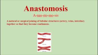 Anastomosis Pronunciation and Definition  How to pronounce anastomosis [upl. by Eseerehs]