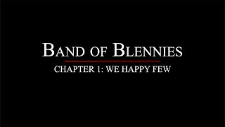 Il2 Cliffs of Dover  Band of Blennies Chapter 1  We Happy Few [upl. by Lytton]