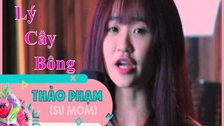 MV Studio cover Lý Cây Bông full  Thảo Phạm  Beat by Uness Beatz [upl. by Ellah]