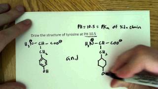 Amino Acid structure problems [upl. by Haleelahk331]