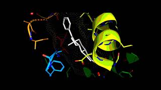 Human Cytochrome P450 CYP17A1 in complex with Abiraterone [upl. by Aural]