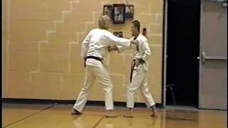 Seisan Bunkai Isshinryu Karatedo [upl. by Didi]