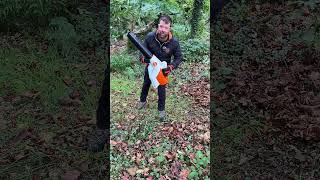 POWERFUL Leaf Blower  BGA250 stihl leafblower lawncare landscaper shorts autumn [upl. by Arnelle504]