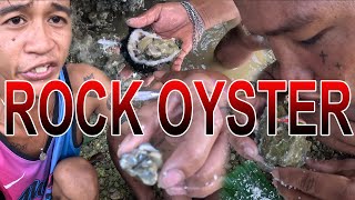 NAKATILAW NAKAG ROCK OYSTER O SISI AGAWN KALAS KAAYO UG BAHAW HAHAHA [upl. by Clare]