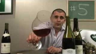 A Red Burgundy Tasting A Spotlight on Gevrey [upl. by Arek]