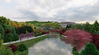 EXPO 2021 HATAY BAŞLIYOR [upl. by Adama]