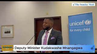 Deputy Minister Kudakwashe Mnangagwa says census results enable evidencebased decisionmaking [upl. by Ansell604]