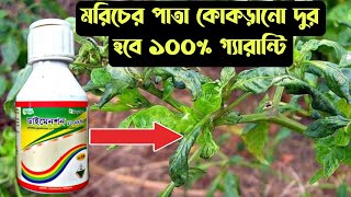 মরিচের পাতা কোকড়ানো রোগমরিচের পাতা কোকড়ানো রোগের ঔষুধডাইমেনশনপাতা কোকড়ানো সমাধানAgroone1 [upl. by Nnylorac]