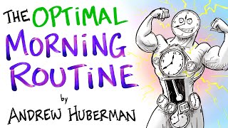 The Optimal Morning Routine  Andrew Huberman [upl. by Dagnah]