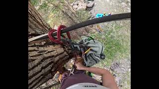 Approach to Creekside Tree Climb and Tyrolean Traverse  Clear Creek Canyon [upl. by Johan]