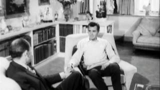 Dirk Bogarde interview [upl. by Ventre567]