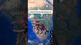 Giant Octopus Cat In Real Found On Google Map And Earth shorts mappoint [upl. by Leahey]