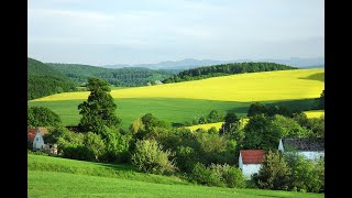 Mansholt lecture 2024 Key dilemmas on future land use for agriculture forestry and nature [upl. by Yentterb]