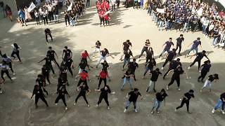 FlashMob Festival Week  Patkar College  Inauguration ceremony Mediatainment [upl. by Domash745]