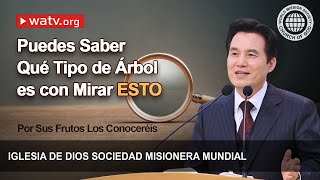 Por Sus Frutos Los Conoceréis  Iglesia de Dios Sociedad Misionera Mundial [upl. by Lachman]