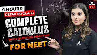 NEET 2024  COMPLETE CALCULUS DETAILED ONE SHOT  Class 11th and 12th Physics  Tamanna Chaudhary [upl. by Eissirk]