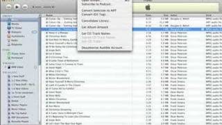 Converting audio files with iTunes [upl. by Anekahs]