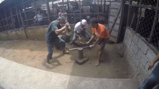 Sword Making in the Philippines by Blade Culture International [upl. by Silohcin697]