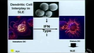 Will Dendritic Cell Subsets Help Us Address the Challenges of Cancer Autoimmunity amp Viral Diseases [upl. by Ais]