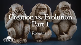 Creation vs Evolution Part 1  Romans 1  Lesson 28 [upl. by Bazluke]