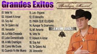 Valentin Elizalde Sus Grandes Exitos  Top 20 Mejores Canciones  Valentin Elizalde Album Completo [upl. by Jessey]