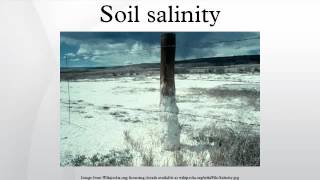 Soil salinity [upl. by Zennie]