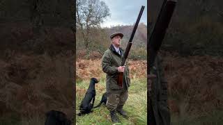 Driven Pheasant Shooting Labrador Retriever Peg Dog Stoney Creek Jacket [upl. by Sonni647]