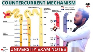 Countercurrent Mechanism  Countercurrent Multiplier  Countercurrent Exchanger Symstem [upl. by Trilley]