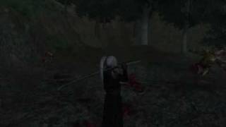 oblivion  valenwood border massacre [upl. by Callie551]