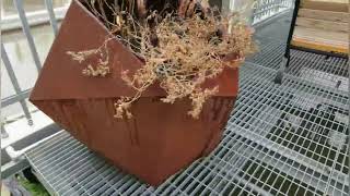 corten steel flowerpot [upl. by Hseham]