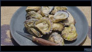 Leeuwin Coast  Albany Rock Oyster Farm [upl. by Alliehs]